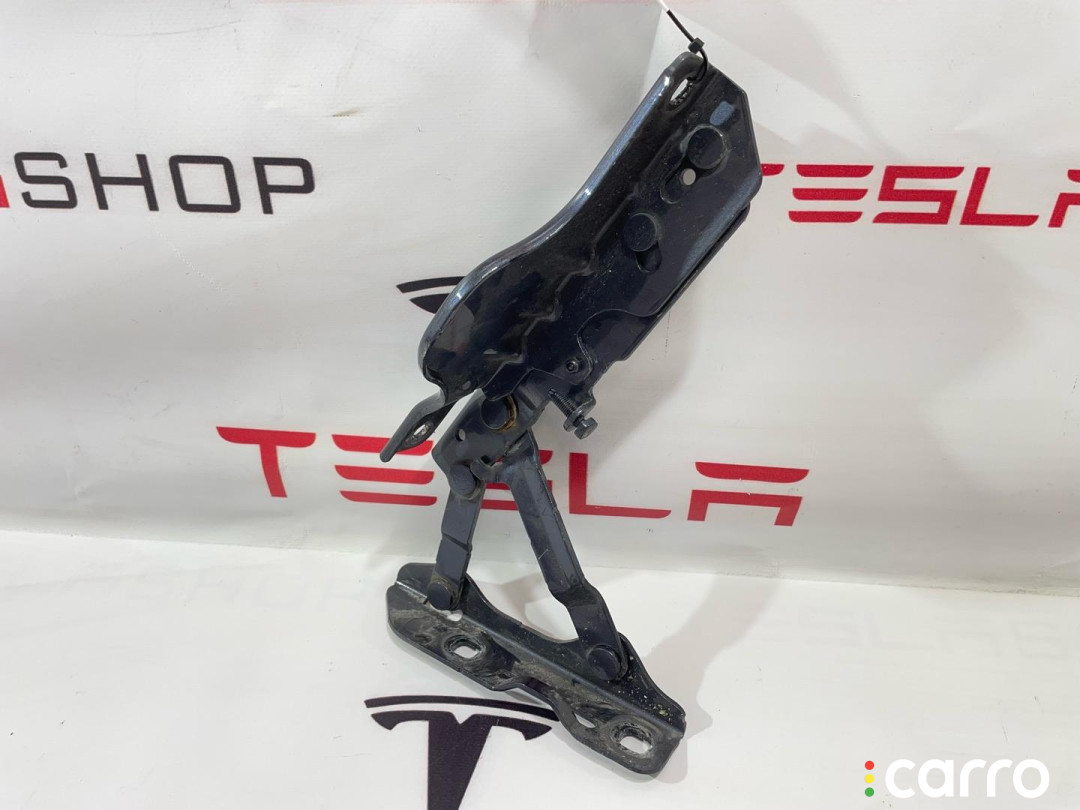 1029284-00-C, 600638-00-E Петля капота левая Tesla Model S 2015г. - фото №1