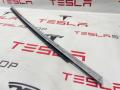 103839580A, 109578900C молдинг двери задней левой Tesla Model S 2015г. - фото №2