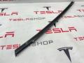 103839580A, 109578900C молдинг двери задней левой Tesla Model S 2015г. - фото №4