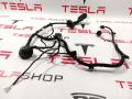 2067966-00-A Электропроводка двери Tesla Model 3 2020г. - фото №3
