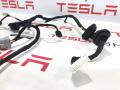 2486399-00-C Электропроводка двери Tesla Model S 2-й рест 2021г. - фото №2