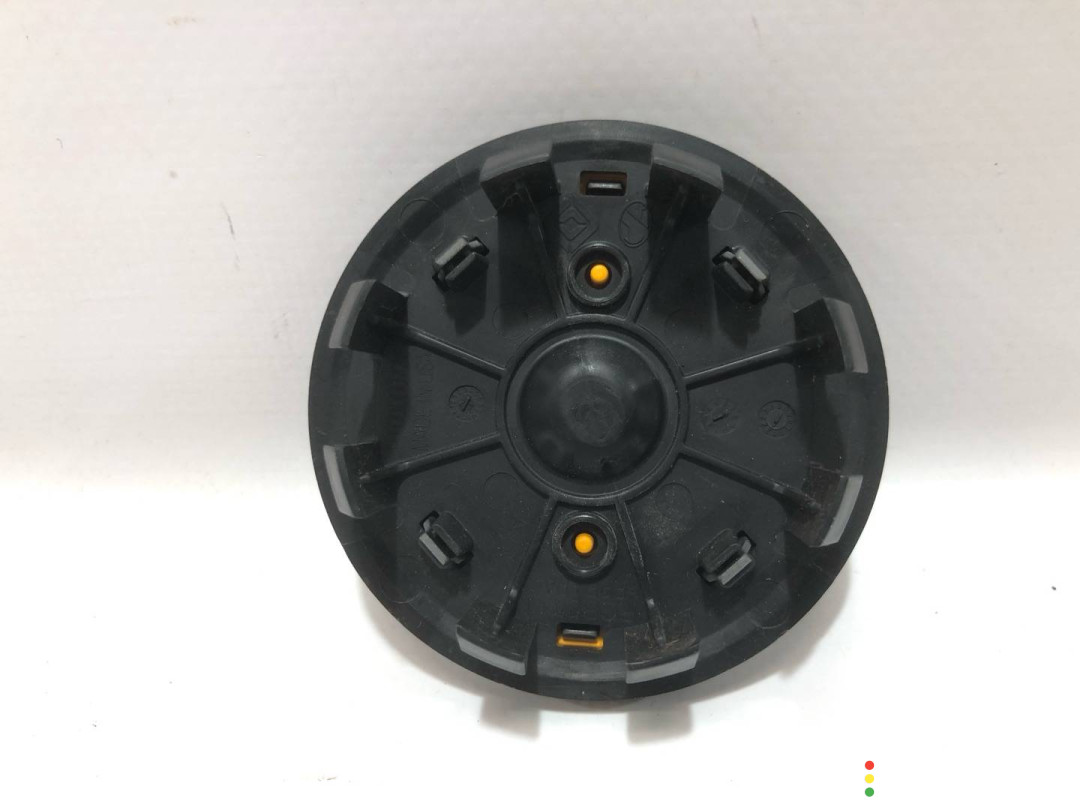 PT00000738, PT00001895-E-001, PT00001895-E-002 Колпачок литого диска Rivian R1T 2022г. - фото №4