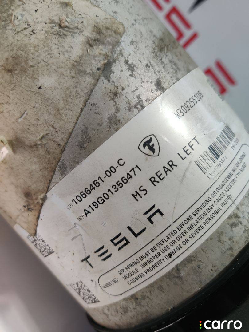 1067461-00-C, 1066461-00-C Пневмостойка задняя левая Tesla Model S 2019г. - фото №2