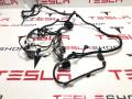 2004419-00-B Электропроводка двери Tesla Model S 2019г. - фото №2