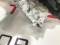 1041317-00-F, 1041315-00-A, 6006644-00-F, 1042523-00-A зеркало наружное левое Tesla Model S 2013г. - фото №6