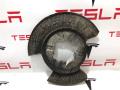 6006433-00-A Кожух тормозного диска Tesla Model S - фото №3