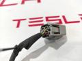 1031236-81-E разъем (фишка) проводки Tesla Model S - фото №2