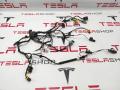 2032441-00-A, 1032441-00-G Электропроводка двери Tesla Model X 2019г. - фото №3