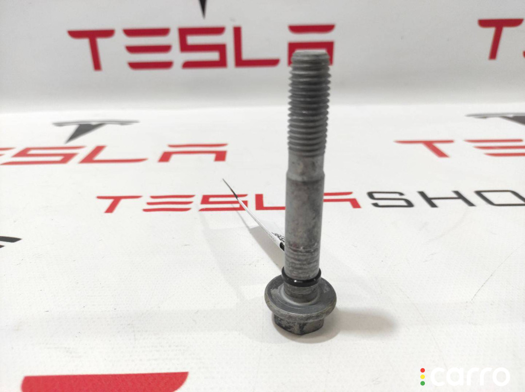 1111522-00-A, 1420441-00-G, 1420435-00-F, 1420421-99-G, 1420422-99-C Болт Tesla Model X рест 2022г. - фото №1