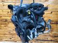 Y20DTH Двигатель Opel Zafira 2002г. - фото №6
