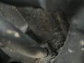 F9QK732 Двигатель Renault Scenic 2001г. - фото №2
