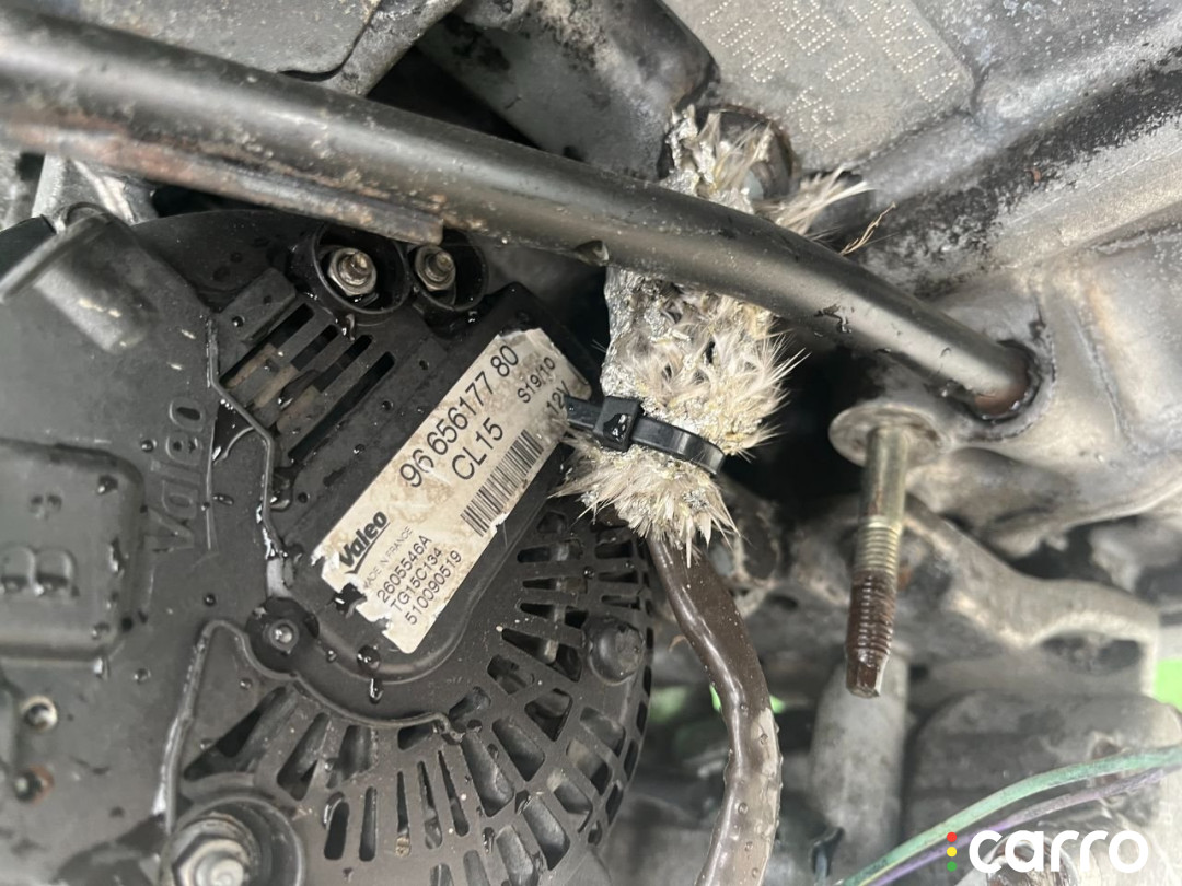 9665617780 Генератор Citroen Xsara Picasso 2002г. - фото №3