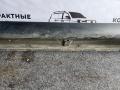 6512A422, OEM2450R, MB50205000R00, MI354032R, STMB535211, MBL1401717R накладка на порог Mitsubishi Outlander 2017г. - фото №6