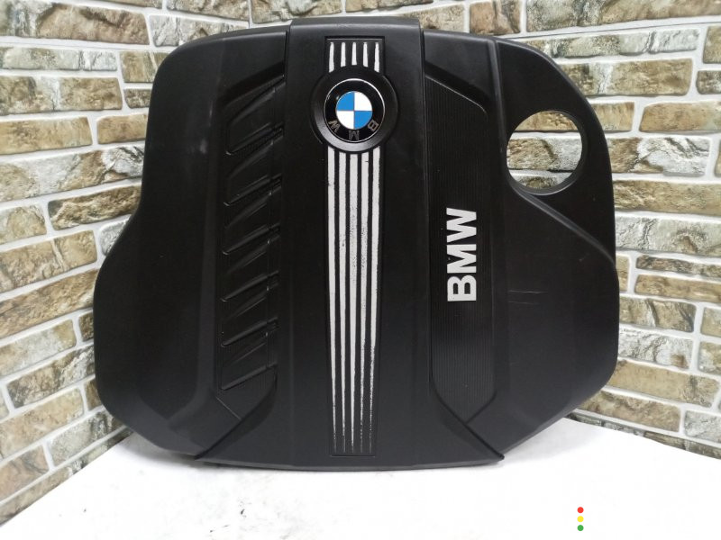 13717811025 Декоративная крышка двигателя BMW X5 2010г. - фото №1