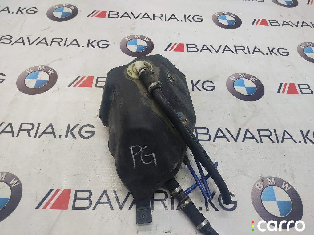 16117175067 Абсорбер топливного бака BMW X5 2001г. - фото №1