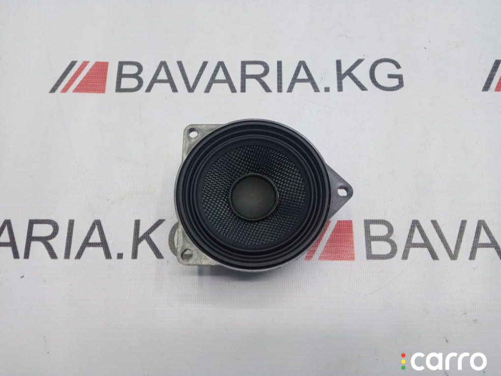 65139141501 Динамик TOP-HiFi BMW X6 2011г. - фото №1