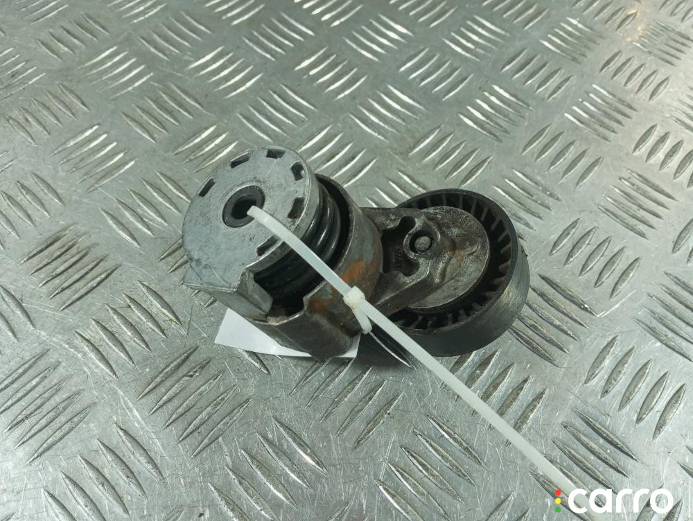 8200371058 Натяжитель ремня генератора Renault Megane 2005г. - фото №1