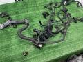 Проводка двигателя BMW 5 E60/E61 2005г. - фото №6
