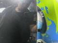41517008127, 41517038091, 41518241411, 7008127, 7038091, 8241411 Дверь передняя левая BMW 3 E46 2005г. - фото №8