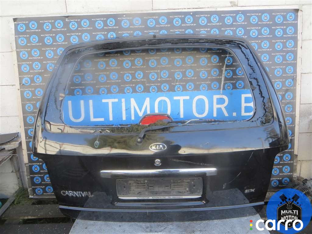 Накладка подсветки номера Kia Carnival 2004г. - фото №1