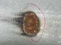 5380260B60, 5380260B60AV, 5380260C00, GD1696SL, NMPTY4005L, OEM0136KPL, P71TY253CL, PTY100725BFL, SH000525, STTY92016C2, T39040204053, TO034023FL, TY10253CL, TY21100BL, TY23723, TY84101602L00, TY8523004, TYLAN12270L Крыло Toyota Land Cruiser 2012г. - фото №9