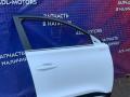 51000928AADY Дверь Chery Tiggo 7 PRO 2019г. - фото №5