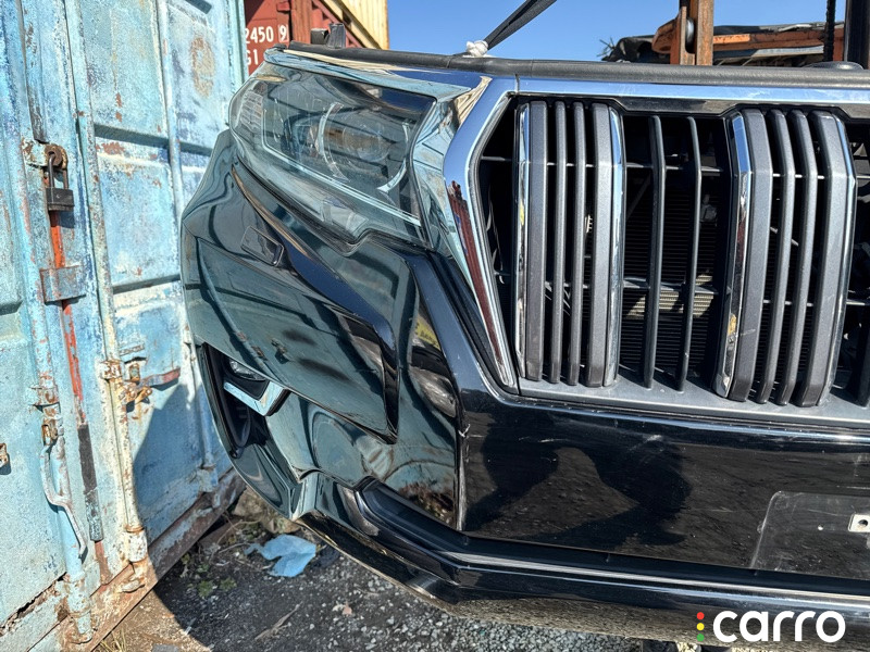 5031 nose cut TOYOTA LAND CRUISER PRADO - фото №13