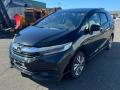 60400TD4300ZZ, 5092 телевизор HONDA SHUTTLE - фото №13