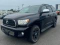 4933, 510010C614, 512090C030, 510010C480, 512010C020 рама TOYOTA SEQUOIA - фото №16