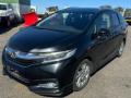 5131, 74111-T5A защита двигателя HONDA SHUTTLE 2015г. - фото №10