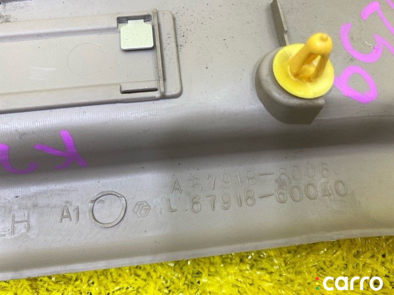 5259, 6791360040A0, 6791860030A0, 6791760040A0, 6791460030A0 накладка на порог TOYOTA LAND CRUISER 2001г. - фото №10