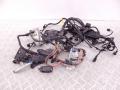 12517810118, 7810118, 12517806081, 7806081 Проводка двигателя BMW X5-series (E70) 2007г. - фото №6