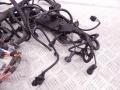 12517810118, 7810118, 12517806081, 7806081 Проводка двигателя BMW X5-series (E70) 2007г. - фото №9