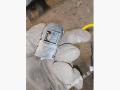8E1919094 Кнопка корректора фар Audi A4 B6 2004г. - фото №2