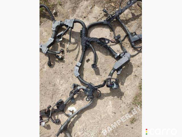 Проводка двигателя Toyota RAV4 5 (XA50) 2020г. - фото №6