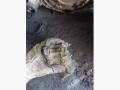 PEP, PEP8187163 Раздаточная коробка Honda HR-V 2003г. - фото №2