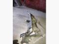 8200115762 Кронштейн генератора Volvo V40 2001г. - фото №4