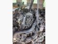 Z17DTL Двигатель Opel Astra G 2003г. - фото №3