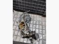 1713838 Корпус масляного фильтра BMW 5 E39 2000г. - фото №4