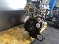 QG18DE, QG18, 9F6UKR1 Двигатель Nissan Primera P11 2001г. - фото №5