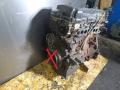 QG18DE, QG18, 9F6UKR1 Двигатель Nissan Primera P11 2001г. - фото №8