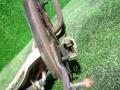 Насос топливный Honda Accord 1996г. - фото №5