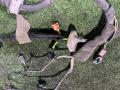 9664592280 Электропроводка двери Peugeot 308 2010г. - фото №4