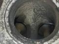 AWT, AWC, AUQ, AWM, BFB, AVJ, AMB, BAM, BEX, AJH, APX, AUG, AWP Головка блока цилиндров (ГБЦ) Audi A4 2003г. - фото №13
