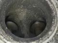 AWT, AWC, AUQ, AWM, BFB, AVJ, AMB, BAM, BEX, AJH, APX, AUG, AWP Головка блока цилиндров (ГБЦ) Audi A4 2003г. - фото №14