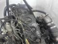 YD25DDTI, YD25 Двигатель Nissan Navara 2012г. - фото №13